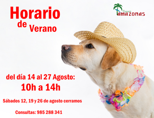 Nuevo Horario de Verano