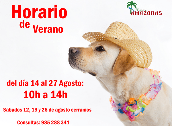 nuevo horario de verano