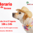 nuevo horario de verano