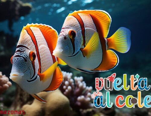 Volvemos al cole con la mejor compañía